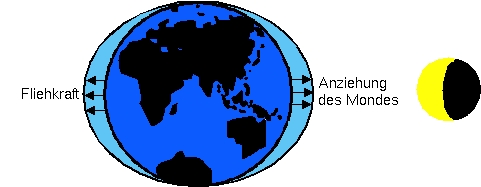 Die Entstehung der Gezeiten bezogen auf das Erde Mond System