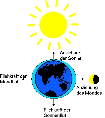 Nippflut bei Halbmond